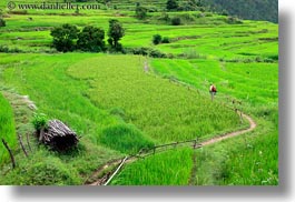 asia, asian, bhutan, hikers, hiking, horizontal, monks, people, photograph