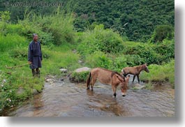 asia, asian, bhutan, clothes, donkeys, horizontal, men, people, robes, senior citizen, style, two, photograph