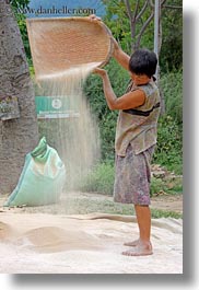 asia, asian, bhutan, grains, men, people, sifting, style, vertical, photograph