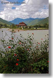 images/Asia/Bhutan/PunakhaDzong/dzong-n-flowers.jpg