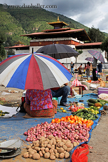 farmers-market-umbrella-n-food-03.jpg