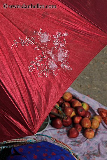 farmers-market-umbrella-n-food-04.jpg