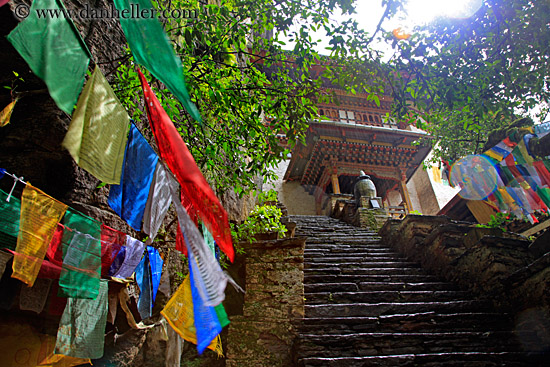 stairs-to-drukgyel-dzong-01.jpg