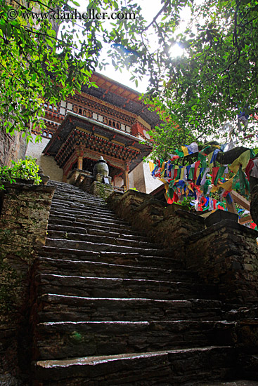 stairs-to-drukgyel-dzong-03.jpg
