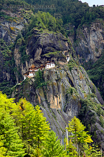 taktsang-n-cliff-w-trees-01.jpg