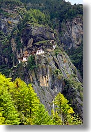 asia, bhutan, buddhist, cliffs, religious, taktsang, temples, trees, vertical, photograph