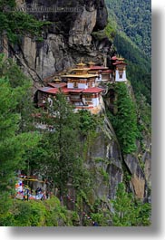asia, bhutan, buddhist, cliffs, religious, taktsang, temples, trees, vertical, photograph