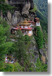 images/Asia/Bhutan/Taktsang/taktsang-n-cliff-w-trees-03.jpg