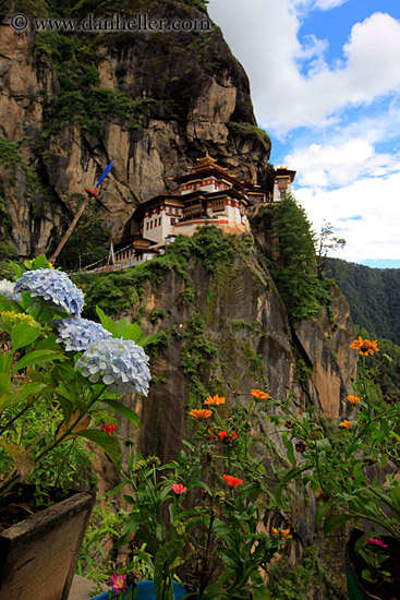 taktsang-n-flowers.jpg