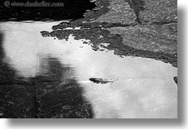 asia, bhutan, black and white, buddhist, feathers, horizontal, nature, puddle, religious, tashichho dzong, water, photograph