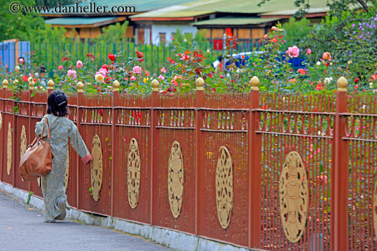 girl-walking-by-fence-n-roses.jpg