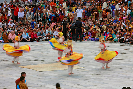 spinning-yellow-dancers-05.jpg