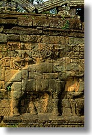 images/Asia/Cambodia/AngkorThom/ElephantTerrace/elephant-bas_relief.jpg