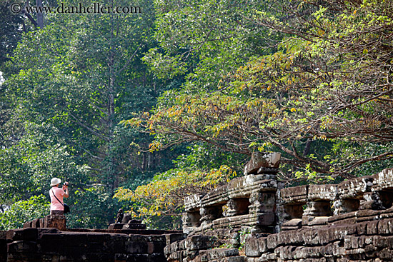 tourist-photographing-trees.jpg