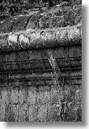 angkor thom, asia, black and white, cambodia, from, growing, palace gate, plants, vertical, walls, photograph