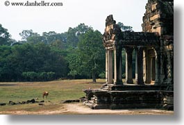 angkor wat, asia, cambodia, east, east entrance, entrance, foyer, horizontal, photograph