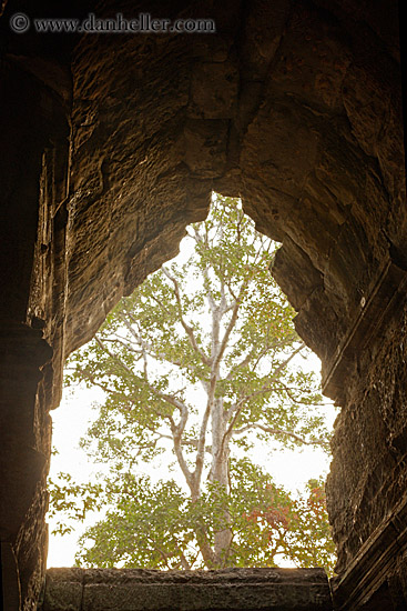 tree-thru-hole.jpg