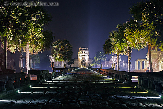 palm-trees-lit-path-to-west-gate-2.jpg