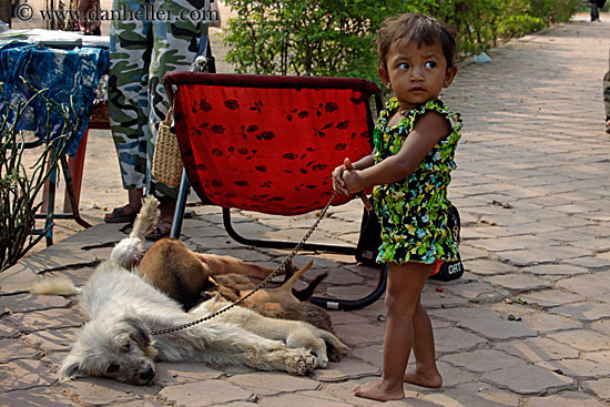 toddler-n-nursing-dog-w-puppies.jpg