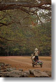 angkor wat, asia, cambodia, chariott, men, people, vertical, photograph