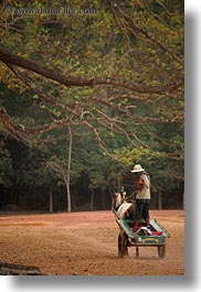 angkor wat, asia, cambodia, chariott, men, people, vertical, photograph