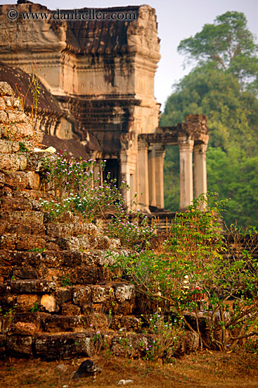 flowers-n-ruins-3.jpg