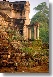images/Asia/Cambodia/AngkorWat/Plants/flowers-n-ruins-3.jpg