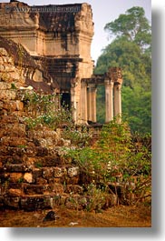 angkor wat, architectural ruins, asia, cambodia, flowers, plants, vertical, photograph