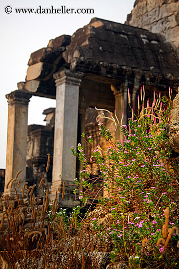 flowers-n-ruins-4.jpg