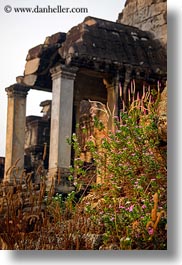 angkor wat, architectural ruins, asia, cambodia, flowers, plants, vertical, photograph