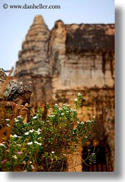 angkor wat, architectural ruins, asia, cambodia, flowers, plants, vertical, photograph