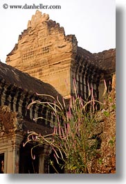 angkor wat, architectural ruins, asia, cambodia, flowers, plants, vertical, photograph