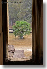 angkor wat, asia, cambodia, palms, plants, trees, vertical, windows, photograph