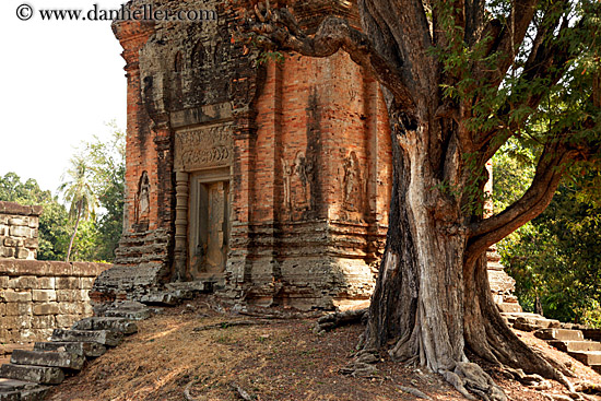 tree-n-brick-temple.jpg