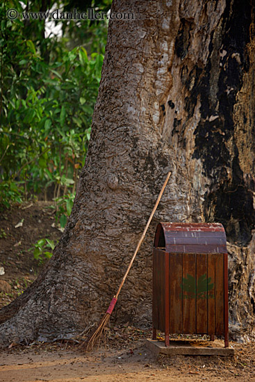 trash-can-broom-n-tree.jpg