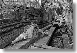 asia, beng mealea, cambodia, cuts, horizontal, trees, trunk, under, walls, photograph