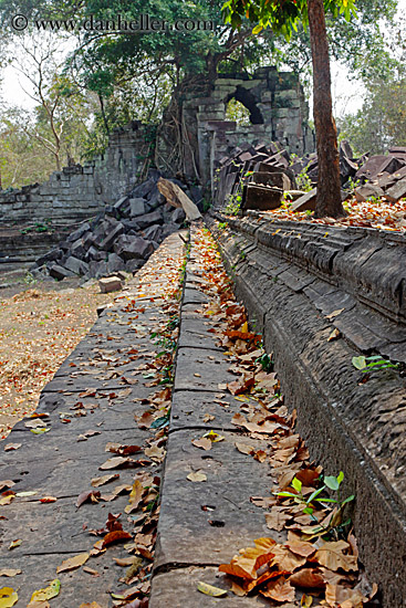 stairs-leaves-n-temple-2.jpg