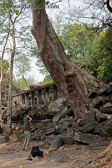 tree-growing-thru-wall-1.jpg