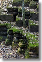 asia, beng mealea, cambodia, mossy, rocks, trees, trunk, vertical, photograph