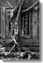 images/Asia/Cambodia/BengMealea/trees-growing-thru-windows-2.jpg