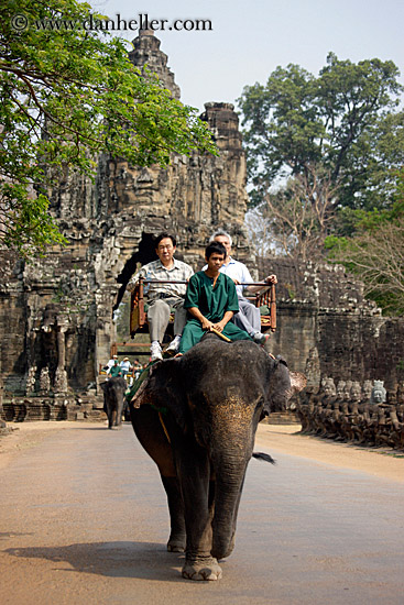 japanese-couple-on-elephant-1.jpg