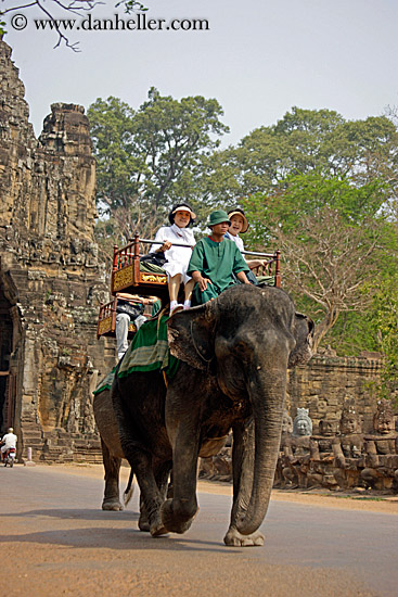 japanese-couple-on-elephant-5.jpg