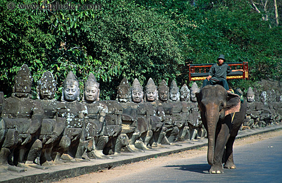 man-riding-elephant-1.jpg