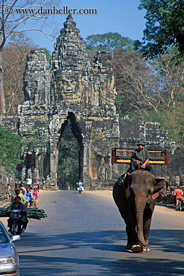 man-riding-elephant-2.jpg