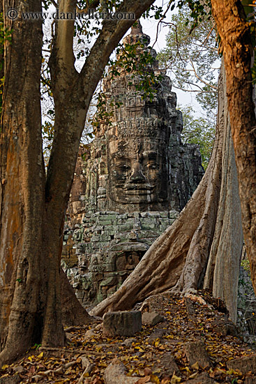 victory-gate-face-n-trees-1.jpg