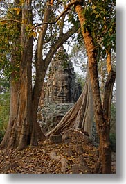 asia, cambodia, faces, gates, trees, vertical, victory, victory gate, photograph