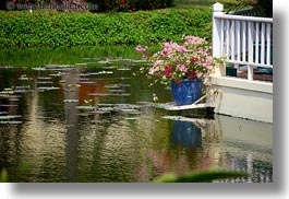images/Asia/Cambodia/Hotel/flowers-in-pond-2.jpg