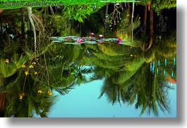 asia, cambodia, flowers, horizontal, hotels, pond, photograph