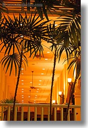 images/Asia/Cambodia/Hotel/trees-n-lights-2.jpg