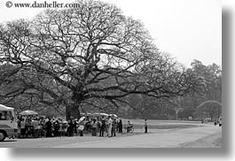 asia, black and white, cambodia, gathered, horizontal, people, trees, under, photograph